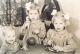 1957 Kinderen Johan Vermeulen en Annie Jongma